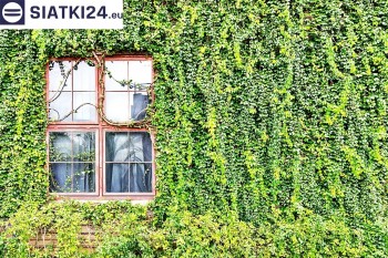 Siatki Kalisz - Siatka z dużym oczkiem - wsparcie dla roślin pnących na altance, domu i garażu dla terenów Kalisza